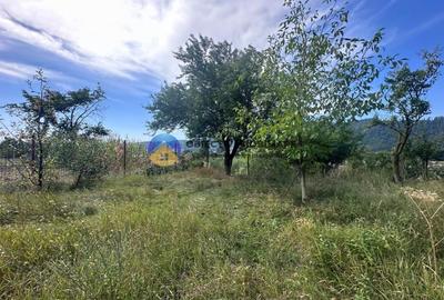Teren + Casa de Vanzare - 1170 mp - Dumbrava Rosie, Neamt - 4