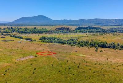 Teren 500mp Dumbravita / Oportunitate de investi?ii - 3