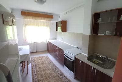 Apartament cu 2 camere decomandat, mobilat în Brotăcei
