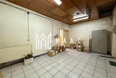 Spațiu industrial, de 502 mp, în Țiglari - 10