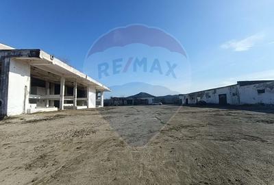 Spațiu industrial, de 5,000 mp, în Niculițel - 15