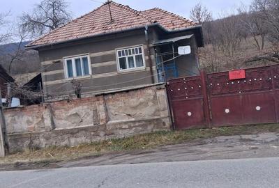 Casă cu 2 camere în Poiana Ampoiului - 2