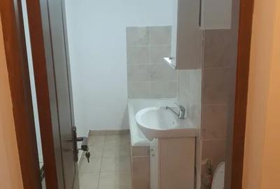 Garsonieră decomandată în Parcul Circului - 6