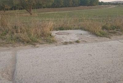 Teren de 1500 mp, în Periferie - 2