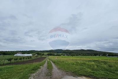 Teren 1,495mp Dobreni / Strada Parau Almas - 5