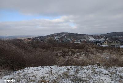 Teren de 11000 mp, în Tomești - 7