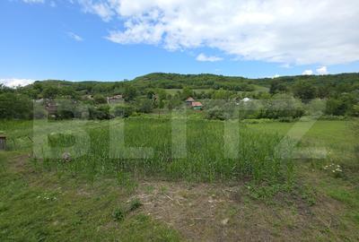 Casa la tara de vanzare, cu 13 ari de teren, la 40 km de Bi - 7