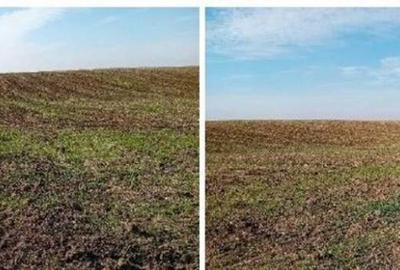 Teren de 6700 mp, în Bârlogu - 3