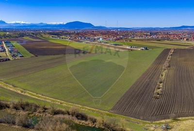 Teren agricol extravilan de 21893 mp, în Bod - 8