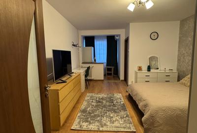 Garsonieră semidecomandată în Dristor - 8