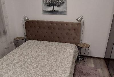 Casa singur curte langa parcul Herastrau - 4