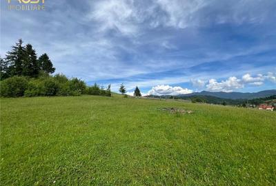 Teren intravilan Colibita cu utilitati 3000 mp - 2