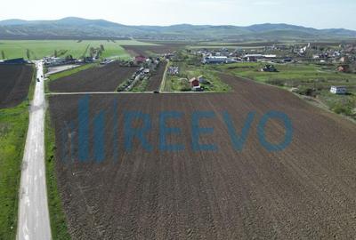 Teren de vanzare, Com. Nicolae Balcescu, Jud. Bacau - 7