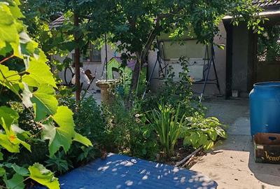 Casă cu 4 camere cu Teren 10000 Mp în Bârca - 2