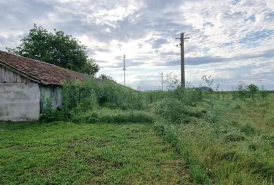 Teren Construcții intravilan de 10000 mp, în Nord-Est - 9