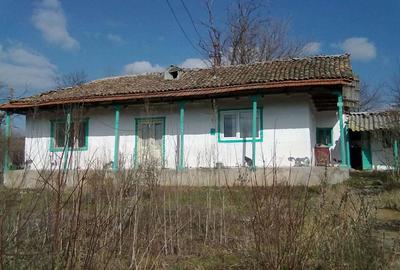 Casă cu 3 camere cu Teren 1000 Mp în Central - 4