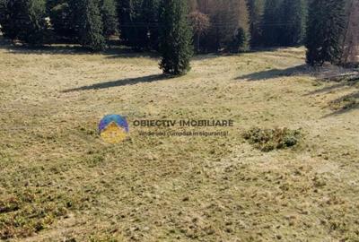 Teren de vanzare 5000 mp Piatra Neam? Teren de vanzare 5000 mp Piatra Neam? - 5