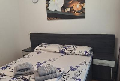 Ptr Studenti, 2 camere, Sat Vacanta - Campus, 2 camere, mobilat si utilat 400E - 9