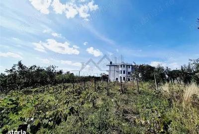 Casă cu 3 camere în Rediu - 4