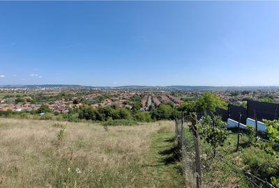 Refugiu de Weekend la 10 Minute de Targu Mures Refugiu de Weekend la 10 Minute de Targu Mures - 5