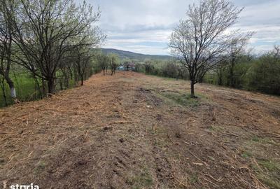 Teren de 6704 mp, în Hărău - 5