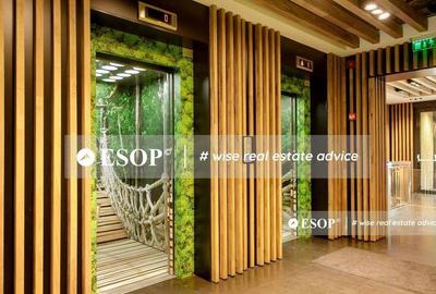 Spațiu comercial, de 5,900 mp, în Băneasa - 11