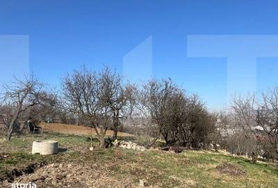Spațiu comercial, în Zorilor - 2