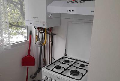 Apartament cu 2 camere decomandat în Brazda lui Novac - 5