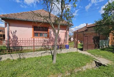 Casă cu 2 camere cu Teren 1427 Mp în Rogoz - 5