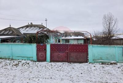 De vanzare casa taranesca Balusesti jud. Neamt - 20