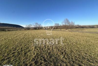 Spațiu comercial, în Petrești - 1