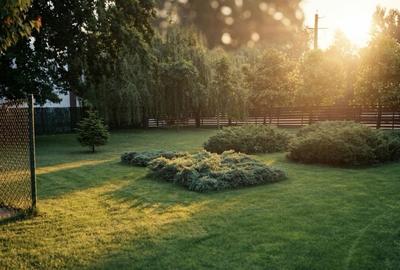 Spațiu comercial, în Joița - 7