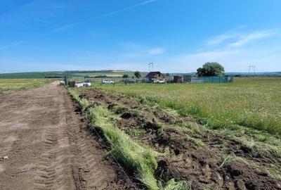 Teren agricol extravilan de 515 mp, în Turnișor