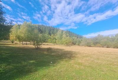 GM53438 Oportunitate investitie in Muntii Fagaras, teren 18000mp - 7