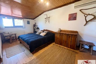 Casă individuală cu 5 camere cu Teren 8633 Mp în Aiud - 8
