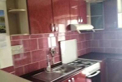 Apartament cu 2 camere decomandat în Târnova - 4