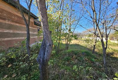 Casa de vanzare Petreni - 1