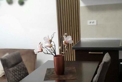Apartament cu 2 camere semidecomandat în Podul de Fier - 4
