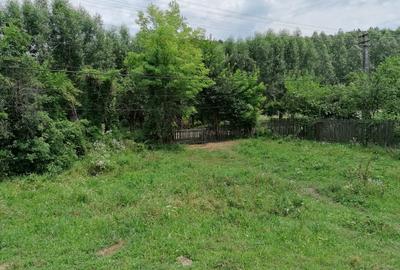 Curte 3025mp , Bughea de Jos, 5 min Valeni PH - 17