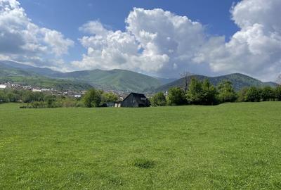 Teren Extravilan ,2386 mp, oportunitate de investitie - 3