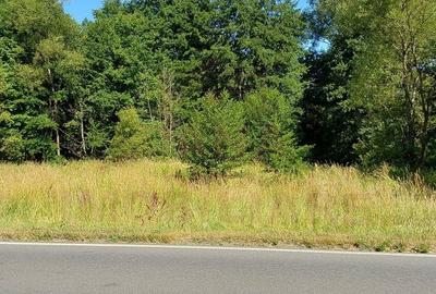 TEREN INTRAVILAN ÎN MARGA-LA DN68 JUD.CARAȘ-SEVERIN - 3