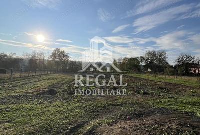 Casa spa?ioasa de vanzare in Ru?i pentru locuin?a sau investitie - 2