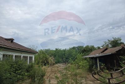 Casa / Vila cu 3 camere de vanzare - 1