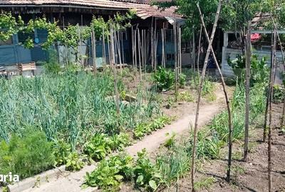Casă cu 4 camere cu Teren 450 Mp în Ultracentral - 5