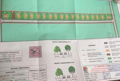 Teren de 7500 mp, în Frumușani - 4