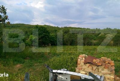 Casă cu 2 camere cu Teren 4700 Mp în Bonț - 5