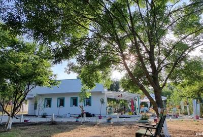 Casă cu 3 camere cu Teren 1470 Mp în Olimp - 6