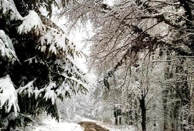 Teren pentru investitii 11.000 mp - 20