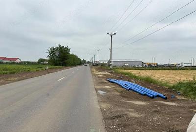 Teren de 53000 mp, în Dascălu - 1