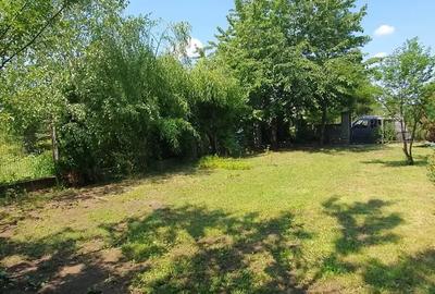 Casă cu 5 camere în Corbeanca - 2